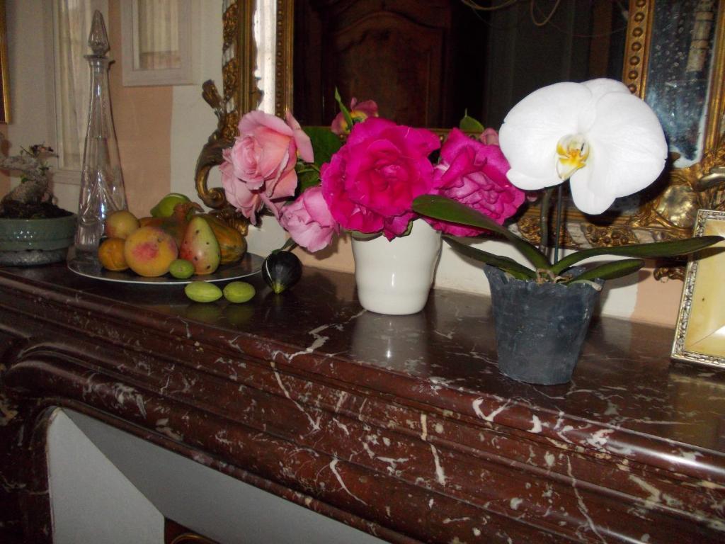 B&B Maison Gaudin Коняк Екстериор снимка